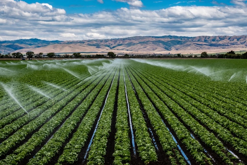 Importanta managementului apelor uzate in agricultura