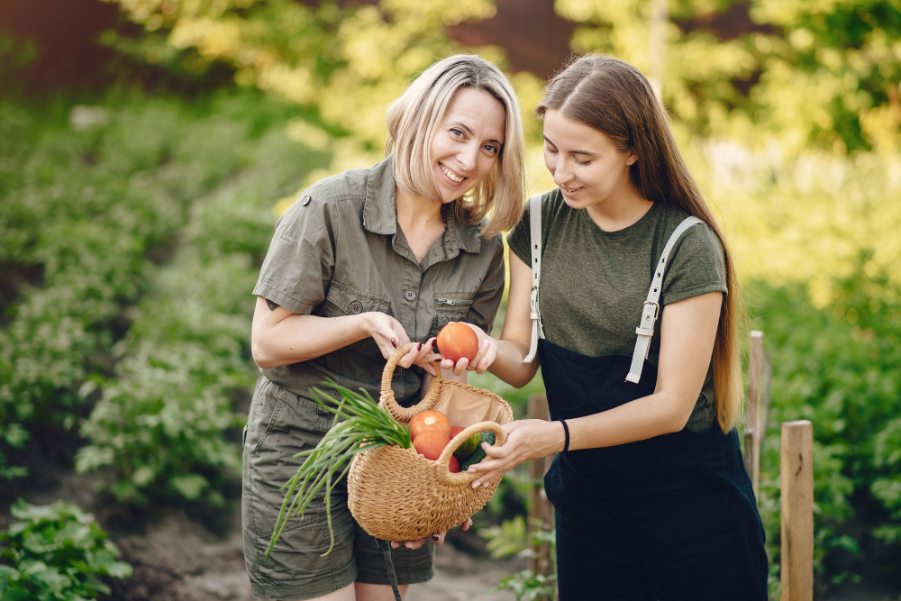 Ajutor de 1.500 de euro de la stat pentru agricultori. Care sunt regulile programului