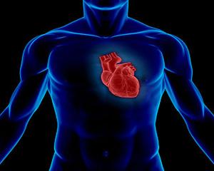 Bolile de inima - Factori de risc