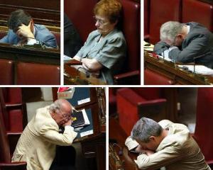 Interdictie pentru cei care tulbura somnul parlamentarilor