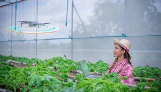 Agricultura high-tech – putem avea incredere in algoritmi?