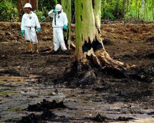Chevron, obligata sa plateasca despagubiri de 8 miliarde de dolari pentru poluarea Amazonului