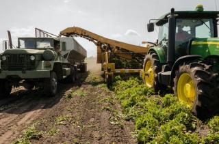 Recolta de euro la hectar: terenurile agricole din Romania se vand si cu 7.600 de euro