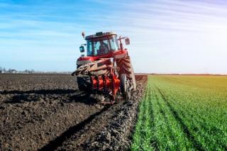 Comisia Europeana propune schimbari radicale in agricultura. Fermierii trebuie sa se indrepte catre productia eco