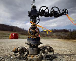 FIA: Liberalizarea pretului la gaze are efect negativ asupra economiei