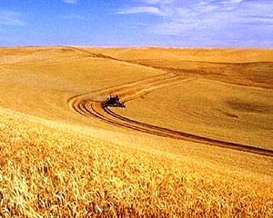 Programele europene pentru agricultura, 10 miliarde euro pentru economia romaneasca