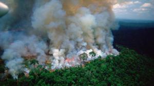 Plamanii Terrei ARD. Padurea Amazoniana, care produce 20% din Oxigen, este mistuita de flacari