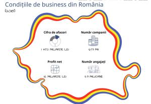 In ultimii 10 ani de business, cifra de afaceri a companiilor din Romania a crescut cu 71%
