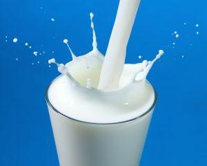 50 de fabrici de lapte din Romania s-au inchis anul trecut