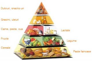 Piramida alimentelor. Piramida alimentelor pentru bebelusi